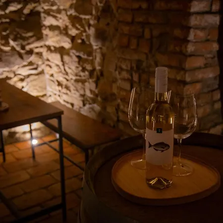 Old Town With Private Wine Cellar